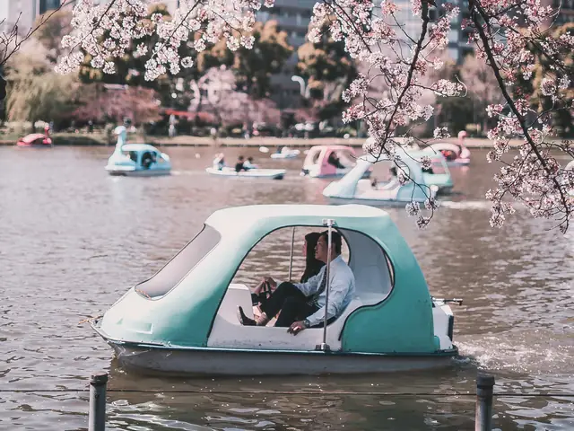 A swan pedal boat under blossom
